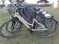 Złoty Kasztan - wypożyczalnia rowerów